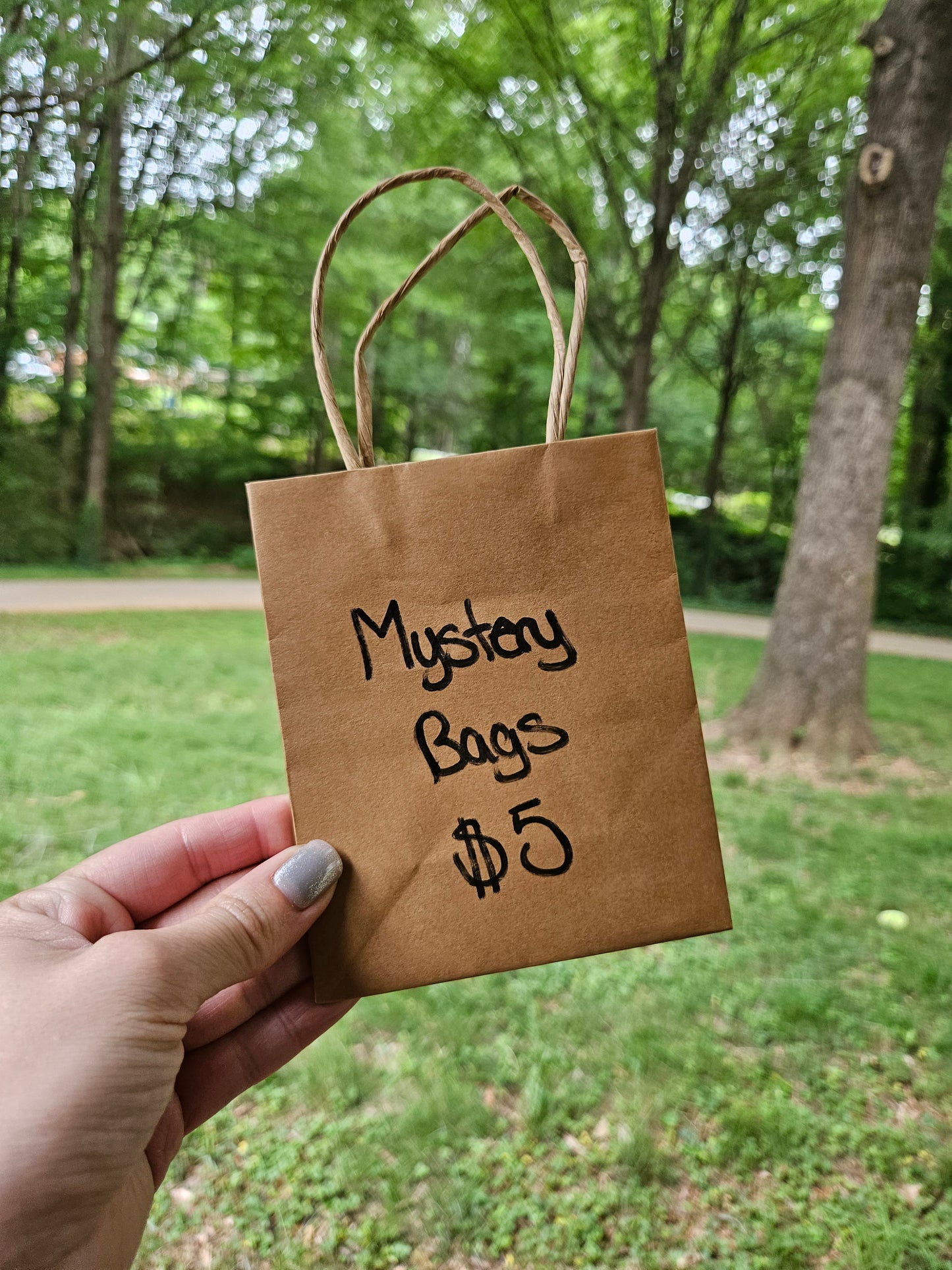 Mystery Bags